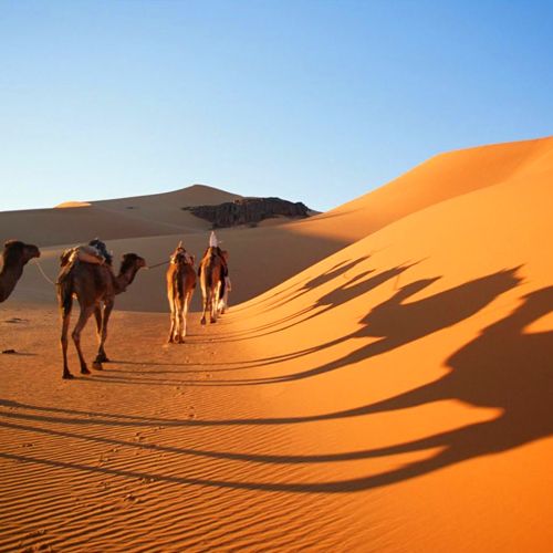 3 days trip from marrakech To Desert & private sahara trip